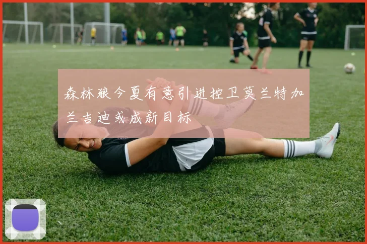 森林狼今夏有意引进控卫莫兰特加兰吉迪或成新目标